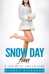 Snow Day Fun cover